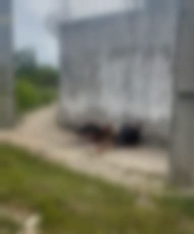paranaque mrcs|Homens são encontrados mortos com marcas de tiros dentro de .